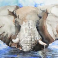 Elefant im Wasser Aquarell 76 cm x 56 cm auf Aquarellbogen