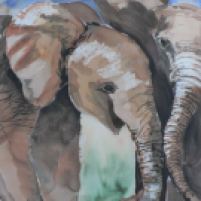 Elefantenkinder Aquarell 47 cm x 35 cm