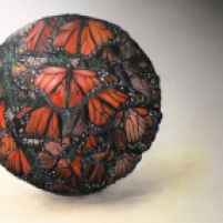 Schmetterlingsball-koR-k